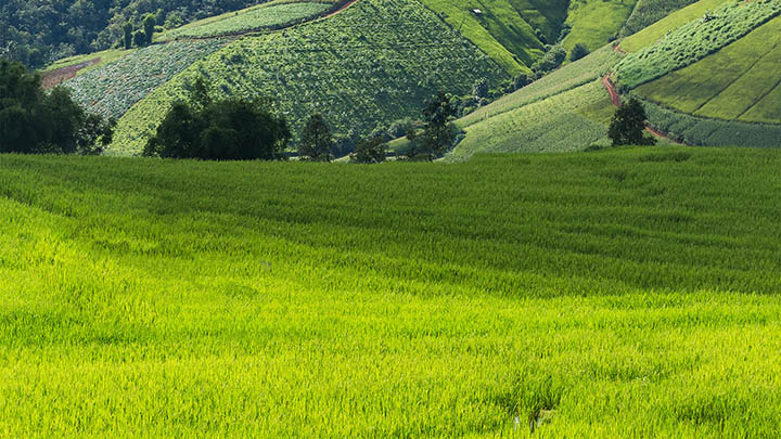 如何解决有道翻译下载会员问题？五大实用攻略解析 二