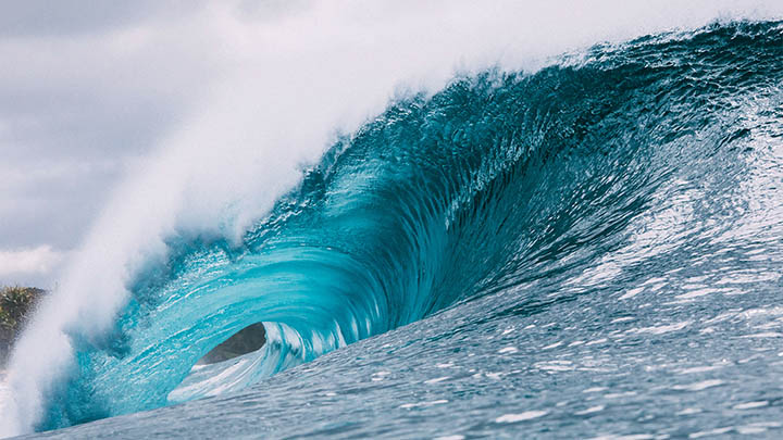 有道翻译下载会员苹果最全指南2026如何成为语言高手？ 二